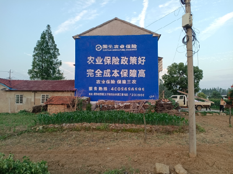 会昌墙体广告为何受追捧？