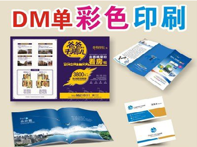 会昌单页印刷，色彩搭配简单。